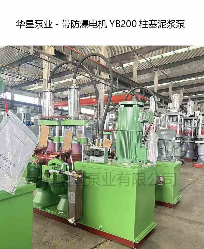 帶防爆電機YB200柱塞泥漿泵-華星泵業(yè)-產(chǎn)品圖片